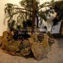 Hádání budoucnosti ze studánky. Foto: Kamila Dvořáková