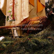 Bažant. Foto: Kamila Dvořáková