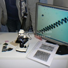 Počítač a mikroskop. Foto: Kamila Dvořáková