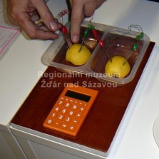 Dokáže jablko vyprodukovat dost energie, aby mohla fungovat kalkulačka? Foto: Kamila Dvořáková