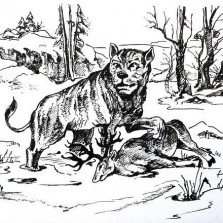 Pravděpodobné vyobrazení okolí budoucí Tvrze na sklonku poslední doby ledové. Ilustrace: Kamila Dvořáková