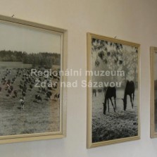 Žánrové fotografie chovných zvířat na zdech. Foto: Kamila Dvořáková