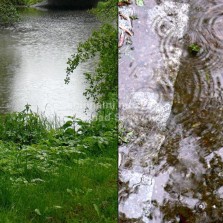 Nečas dne 17. 5. 2014. Foto: Kamila Dvořáková