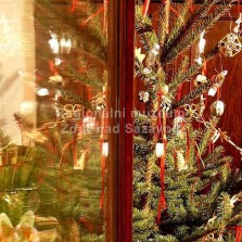 Tradiční vánoční stromeček. Foto: Kamila Dvořáková