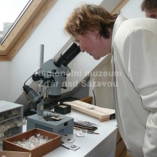 V kanceláři měli návštěvníci možnost nahlédnout do mikroskopu a pokochat se detaily hmyzu. Foto: Kamila Dvořáková