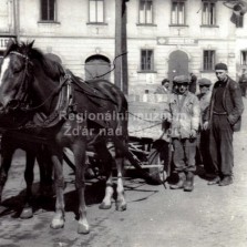 Koně při práci. Foto: Archiv RM