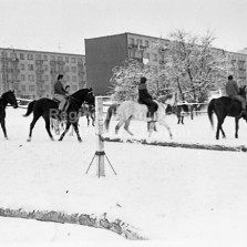 Ať nám koně jdou. Foto: Archiv RM