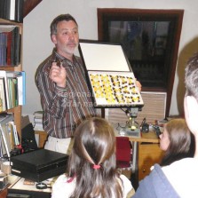 Výklad nad motýly. Foto: Kamila Dvořáková