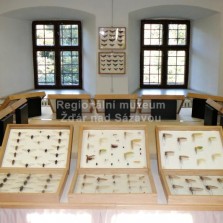 Hmyz ze všech stran. Foto: Kamila Dvořáková