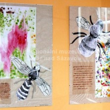 Práce žáků ZUŠ ve Žďáře nad Sázavou. Foto: Kamila Dvořáková