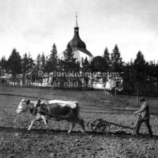Žďáráci. Foto: Archiv RM