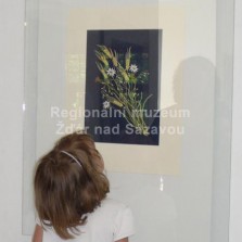 Zahájení výstavy. Foto: Kamila Dvořáková