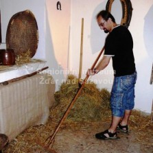 Ve stáji. Foto: Kamila Dvořáková