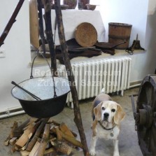 Příprava jídla v polním ležení. Foto: Kamila Dvořáková