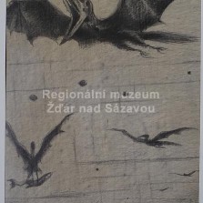 Jan Konůpek (grafika). Foto: Zdeněk Málek