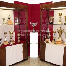 Sportovní trofeje našich hokejistů. Foto: Kamila Dvořáková