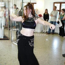 Vernisáž. Foto: Kamila Dvořáková