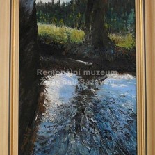 Miloslav Dvořák - obrazy. Foto: Kamila Dvořáková