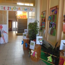 Výstava inspirovaná výstavou Z ŘÍŠE HMYZU. Foto: 1. ročník Státního gymnázia ve Žďáře n. S.