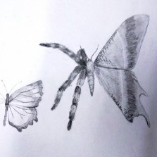 Detaily. Foto: 1. ročník Státního gymnázia ve Žďáře n. S.