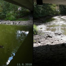 Změna hladiny řeky Sázavy pod mostem u MěÚ (11. a 16. 8. 2018). Foto: Kamila Dvořáková