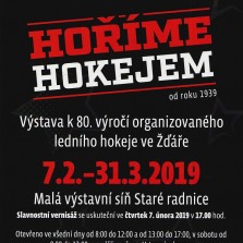 Plakát výstavy HOŘÍME HOKEJEM (Jan Černý)