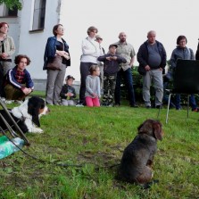 Vyprávění o psech, lovu a myslivosti. Foto: Kamila Dvořáková