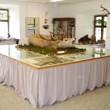 První místnost výstavy - vše o jelení zvěři na Žďársku. Foto: Kamila Dvořáková