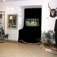 Třetí místnost výstavy. Foto: Kamila Dvořáková
