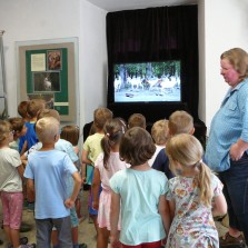 Děti sledují video o bílých jelenech. Foto: Kateřina Omesová