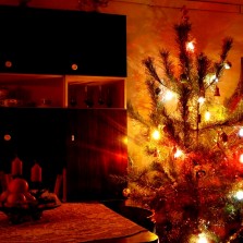 Rozzářený vánoční stromeček. Foto: Kamila Dvořáková