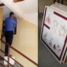 Sundání všech naučných panelů před výmalbou chodby. Foto: Kamila Dvořáková