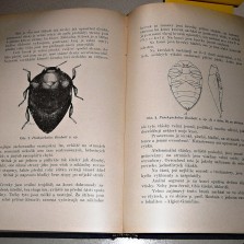 Časopis české společnosti entomologické z let 1912–1915. Foto: Kamila Dvořáková
