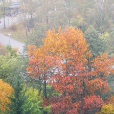 Podzim ve Žďáře. Foto: Kamila Dvořáková