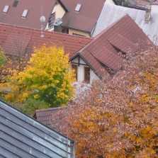 Barevný podzim ve Žďáře z věže kostela sv. Prokopa. Foto: Kamila Dvořáková