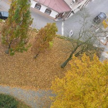 Pohled pod věž v barvách podzimu. Foto: Kamila Dvořáková