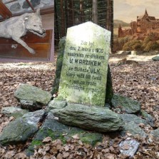 Pomník jednoho z posledních zastřelených vlků na Vysočině, dodnes vycpaného na hradě Pernštejně. Foto: Wikipedia