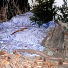 Smrtka většinou skončila v potoce. Foto: Kamila Dvořáková