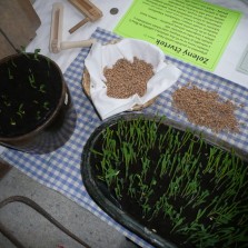 Na Zelený čtvrtek se zahajovaly zemědělské práce. Foto: Kamila Dvořáková