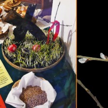 Obcházení polí na Boží hod. Foto: Kamila Dvořáková