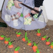 Řepa. Foto: Kamila Dvořáková