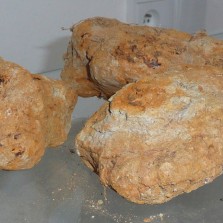 Železná ruda - hnědel. Foto: Kamila Dvořáková