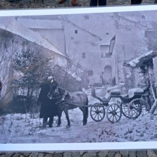 Gretl, slavný Doležalův poník. Foto: Kamila Dvořáková, archiv RM