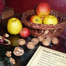 Věštění zdraví za pomoci jablíček a oříšků. Foto: Kamila Dvořáková
