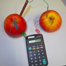 Elektřina z jablka zprovoznila kalkulačku. Foto: Kamila Dvořáková