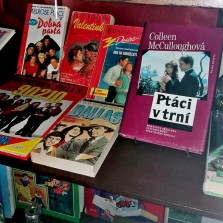 Populární knihy z 90. let. Foto: Kamila Dvořáková