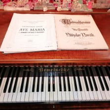 Vánoční melodie. Foto: Kamila Dvořáková