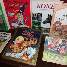 Knihy pro děti. Foto: Kamila Dvořáková
