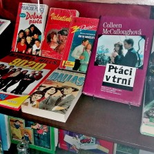 Knihy pro dospívající a romanticky naladěné ženy. Foto: Kamila Dvořáková