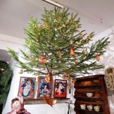 Vánoční stromeček. Foto: Kamila Dvořáková